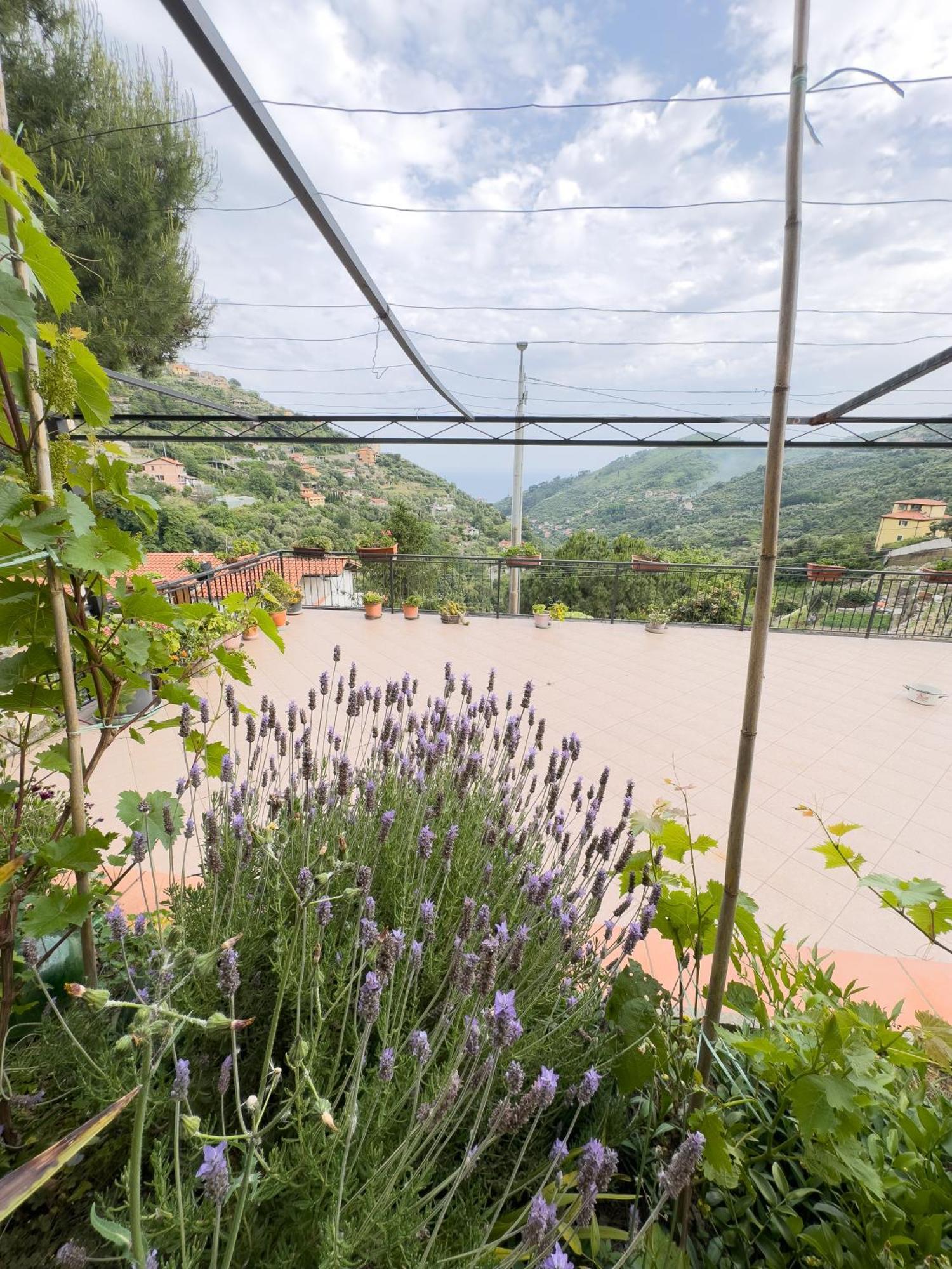Sanremo Mare E Relax - Affittasi "Casa Illiade" Con Parcheggio Libero, Terrazza E Wi-Fi公寓 外观 照片