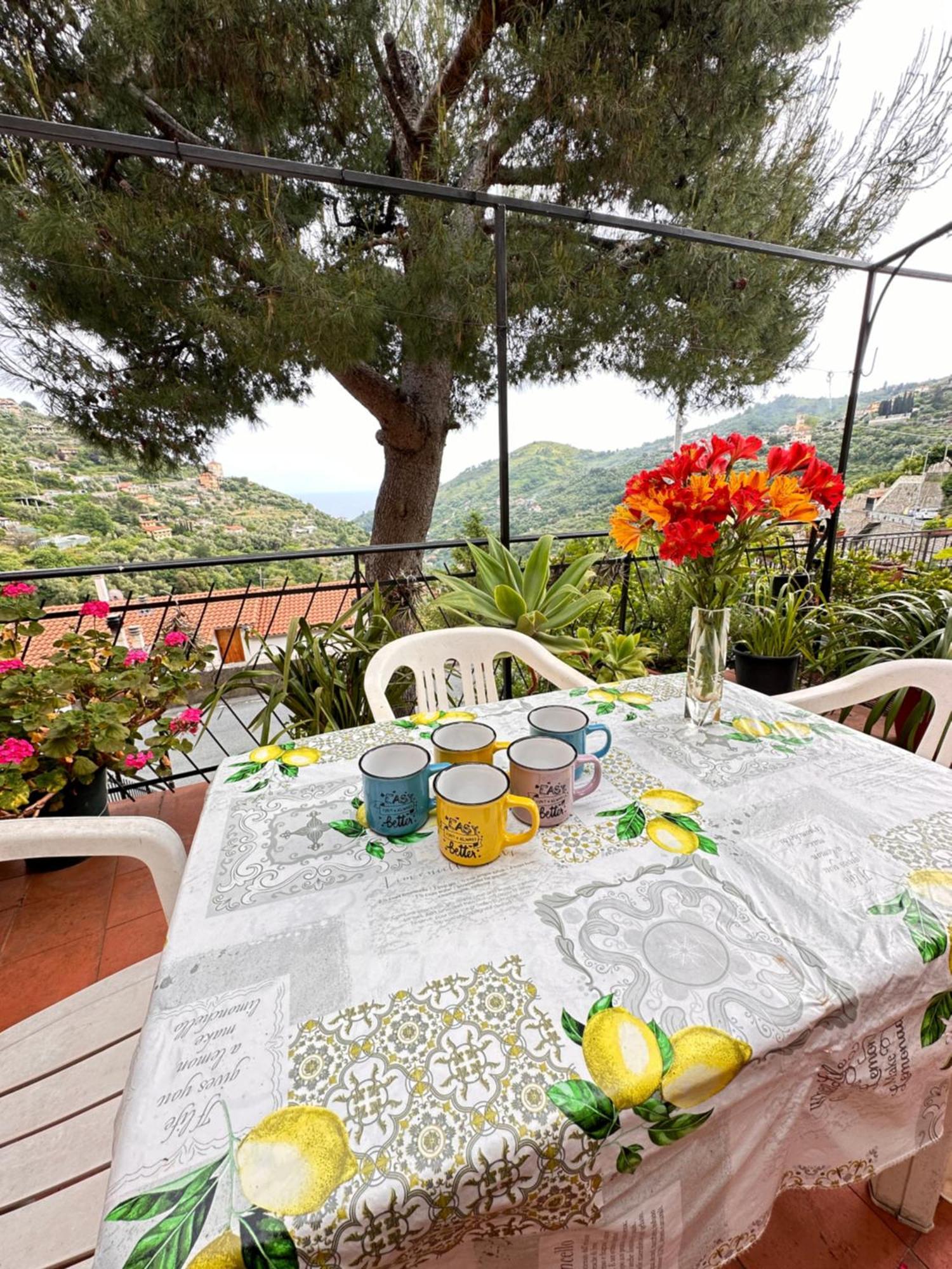 Sanremo Mare E Relax - Affittasi "Casa Illiade" Con Parcheggio Libero, Terrazza E Wi-Fi公寓 外观 照片